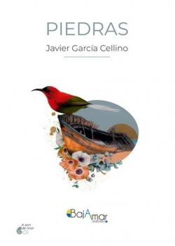 Piedras par Javier Garca Cellino