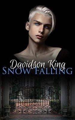 Snow Falling (Haven Hart #1) par Davidson King