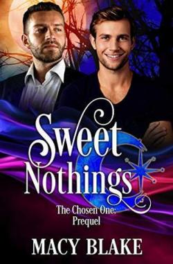 Sweet Nothings (The Chosen One #0.5) par Macy Blake