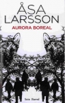 Aurora boreal par Larsson