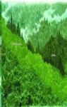El bosque milenario par Taniguchi