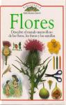 FLORES. Descubre el mundo maravilloso de las flores, los frutos y las semillas par Burnie