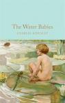 The water babies par Charles Kingsley