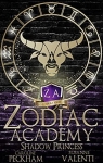 Zodiac Academy: Shadow Princess