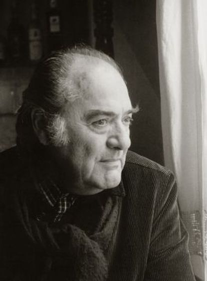 Arturo Maccanti